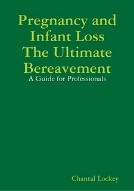 Pregnancy and Infant Loss – a Guide for Professionals – Chantal Lockey